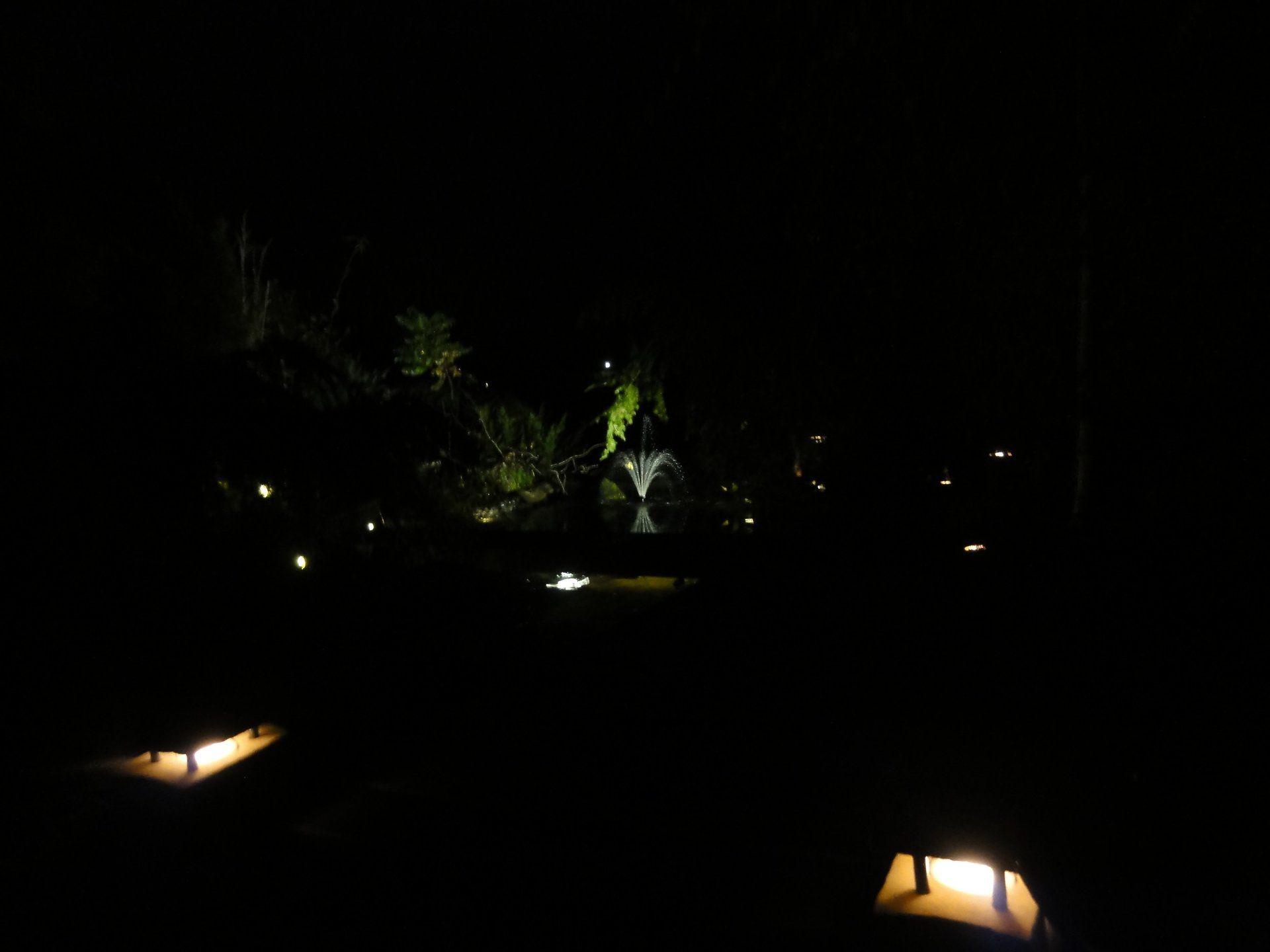 Een tuinscène 's nachts met verlichte planten en padverlichting.