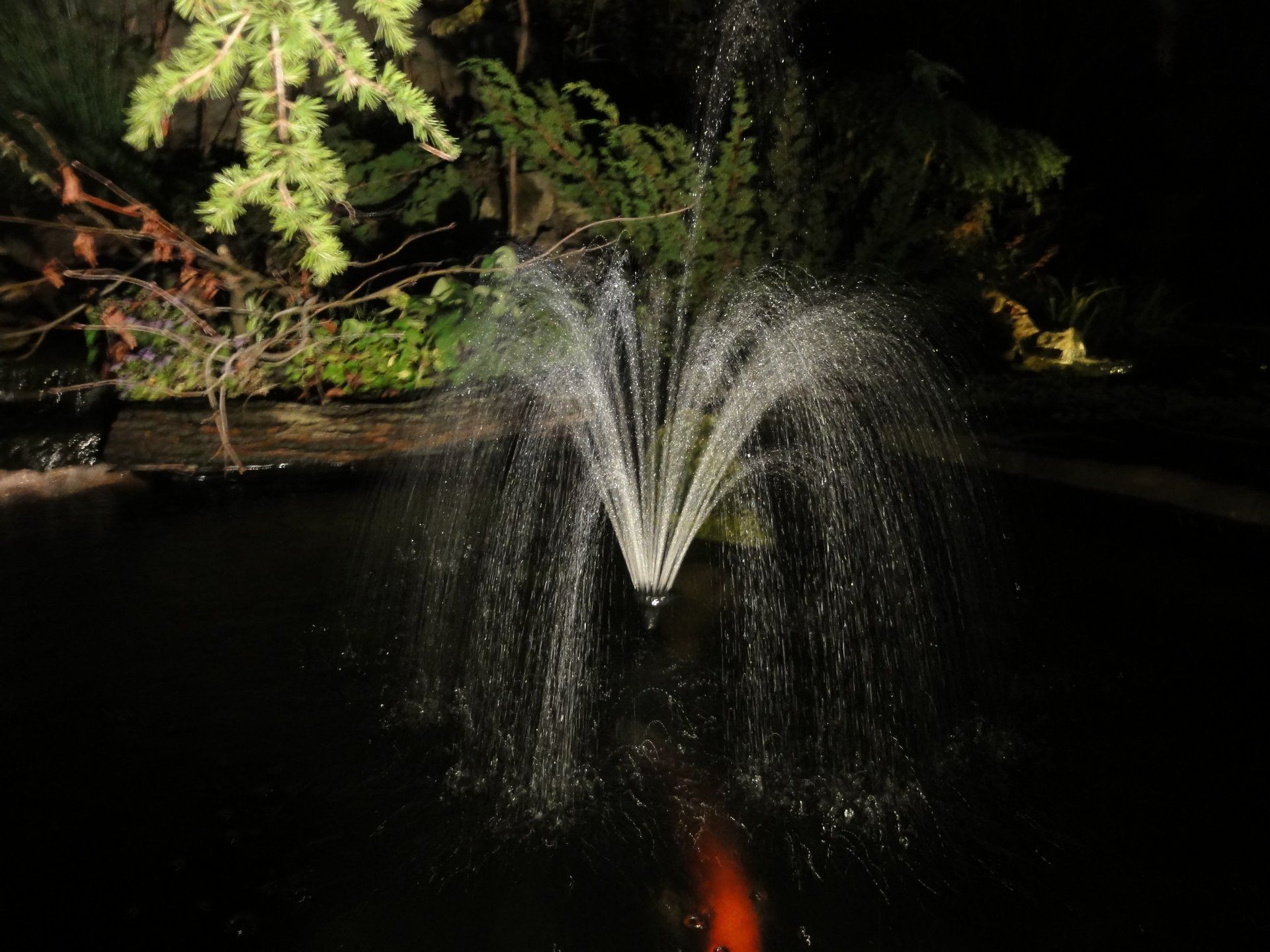 Een fontein spuit 's nachts water, verlicht door licht, met een donkere vijver en bomen op de achtergrond.