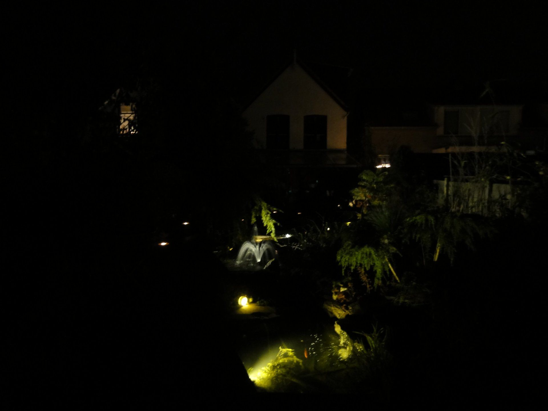 Nachtscène met verlichte waterpartij, gebouw op de achtergrond, omgeven door donker gebladerte.