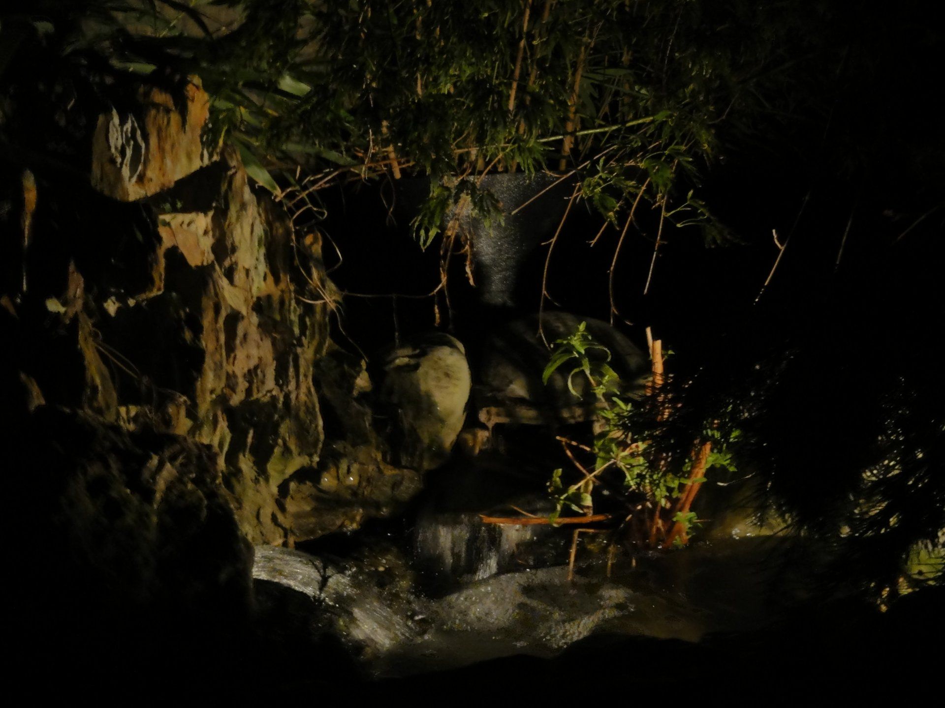 's Nachts stort een kleine, verlichte waterval zich via de rotsen naar beneden in een beekje.