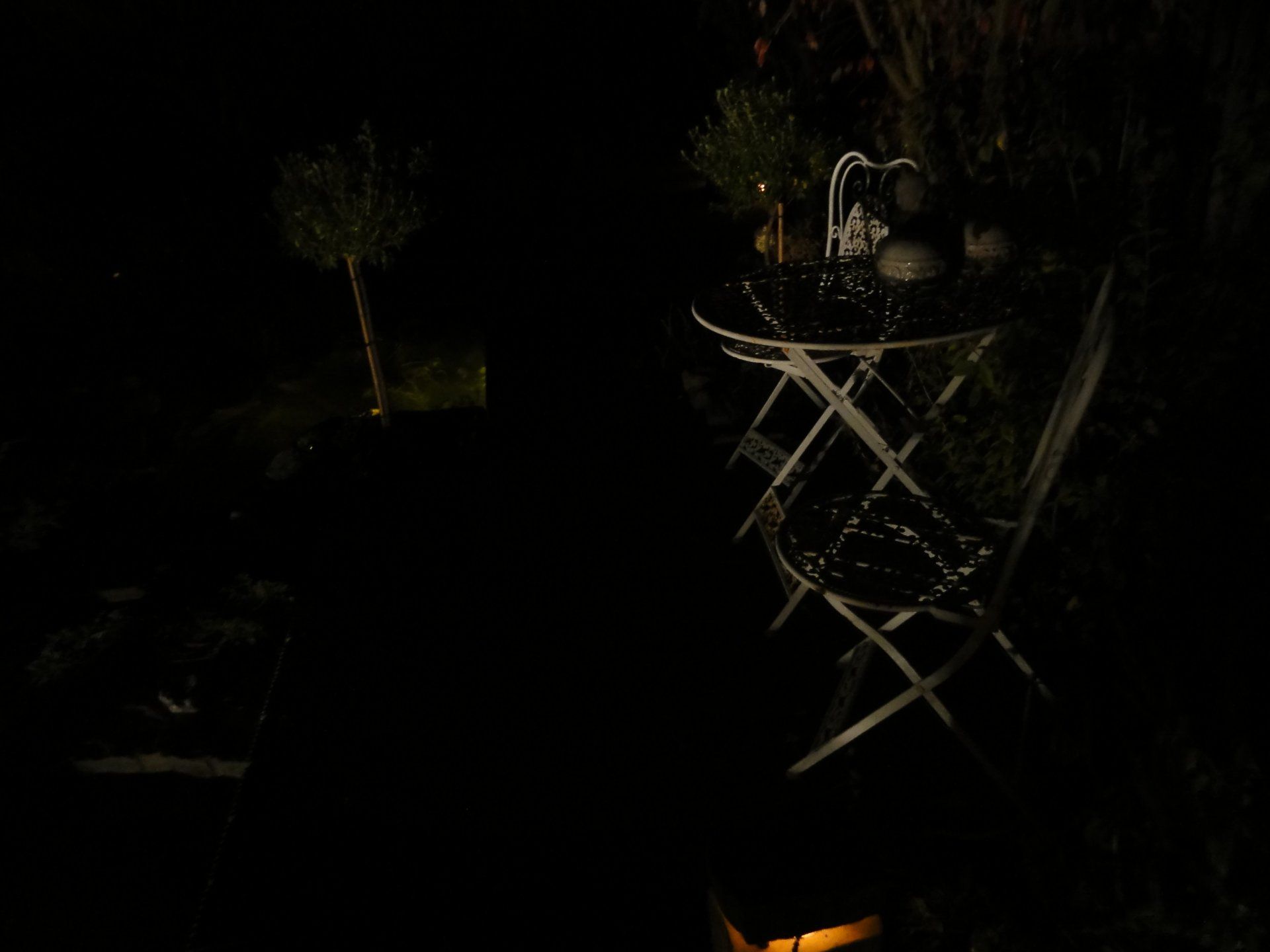 Een donkere achtertuin 's nachts. Een klaptafel met planten, verlicht door een zwakke lichtbron. In de verte staat een boom.