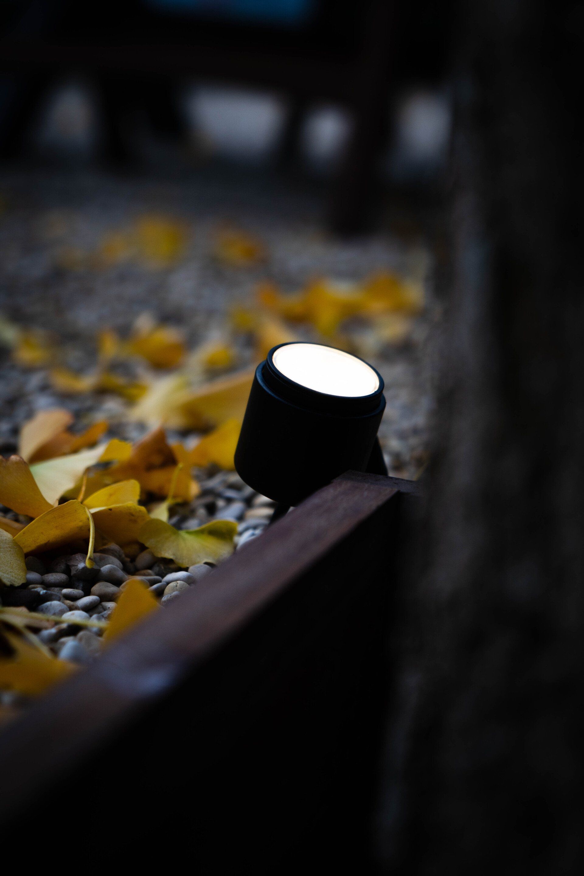 Zwarte buitenverlichting verlicht gele herfstbladeren en grind naast een donkere metalen rand.