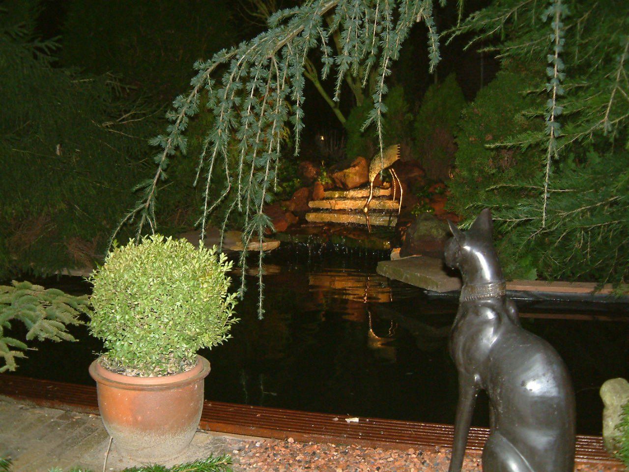 Een standbeeld van een zwarte kat kijkt uit over een donkere vijver met een verlichte waterval in een tuin, 's nachts.