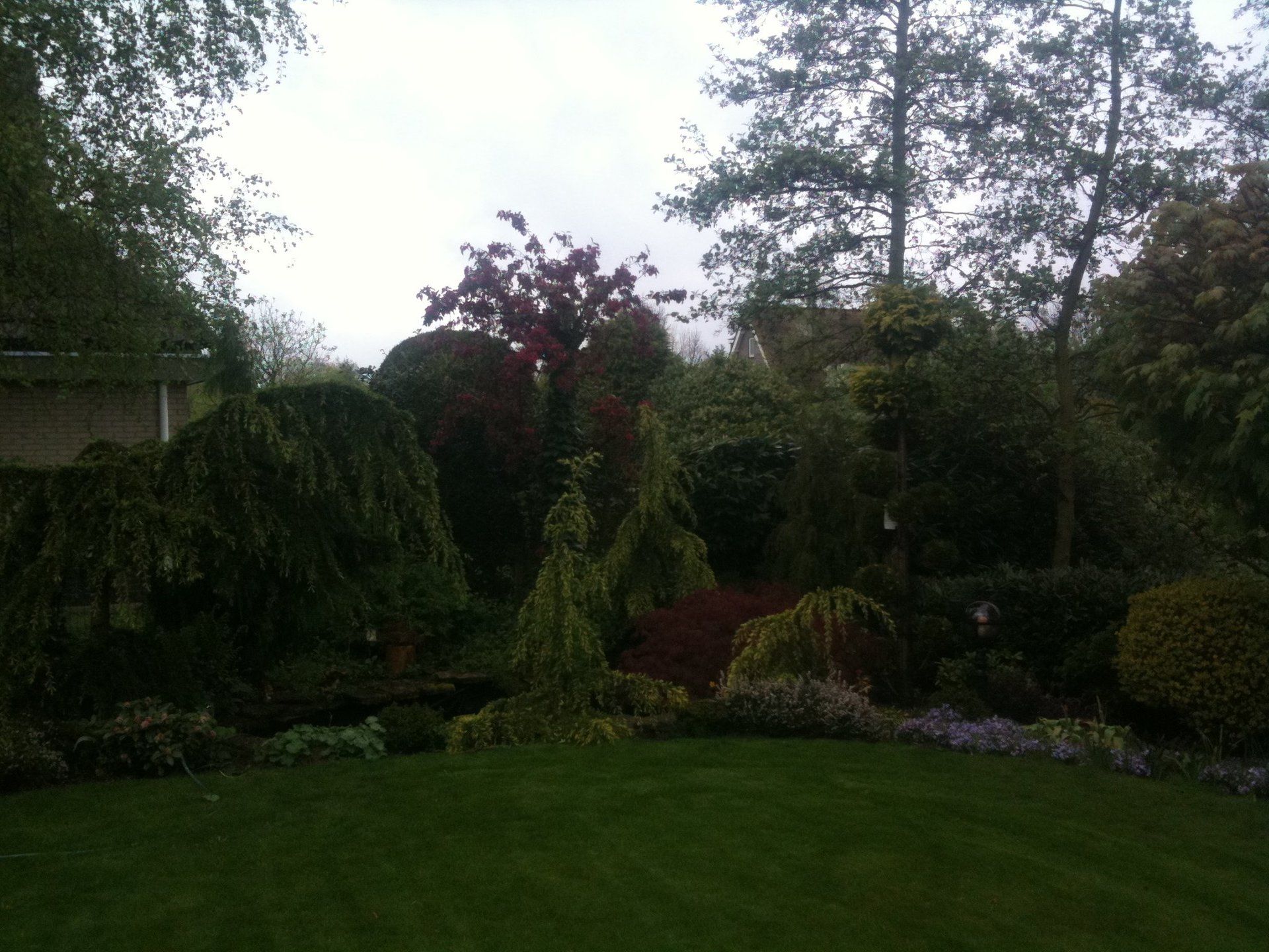 Een weelderige tuin met diverse groene en rode bomen onder een bewolkte hemel.
