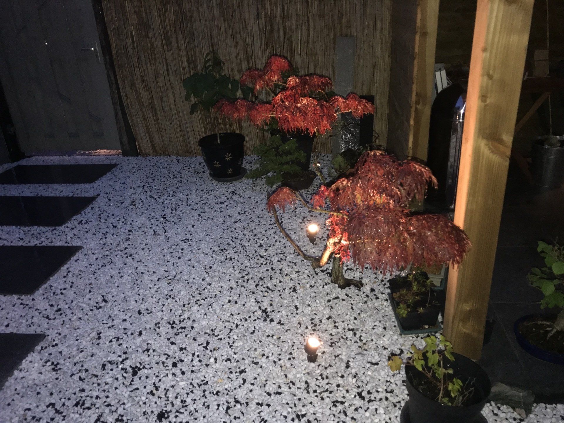 Een bloemstuk met rode bloemen, zwarte potten en een grijze grindvloer, verlicht door een klein lampje.
