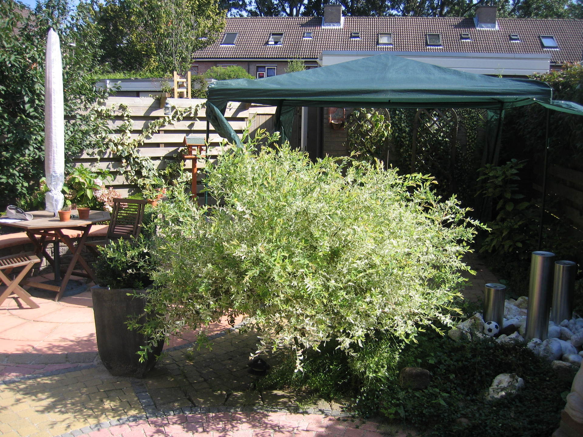 Een scène uit een achtertuin met een tuinhuisje met groen dak, potplanten en houten tuinmeubilair op een stenen terras.