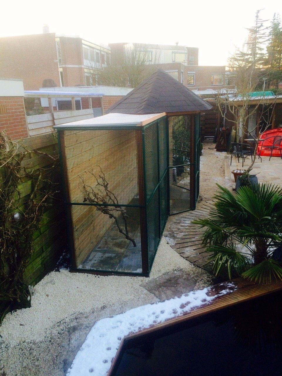 Buitenvolière met een bruin dak en groene gaaswanden in een besneeuwde achtertuin.