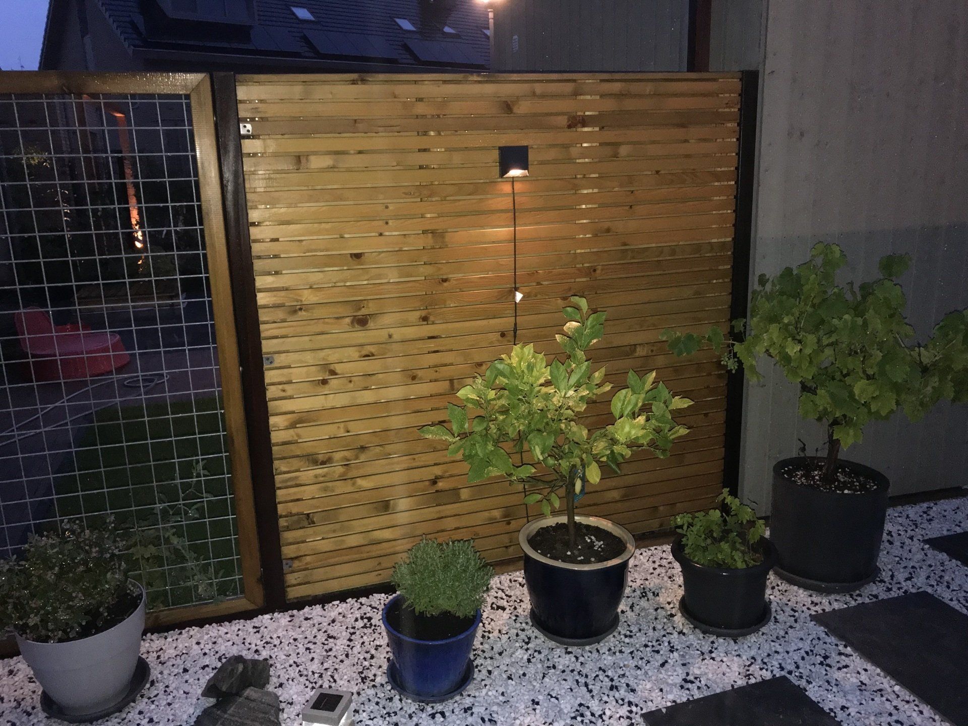 Houten schutting met kleine potplantjes op witte kiezels; buiten, avond.