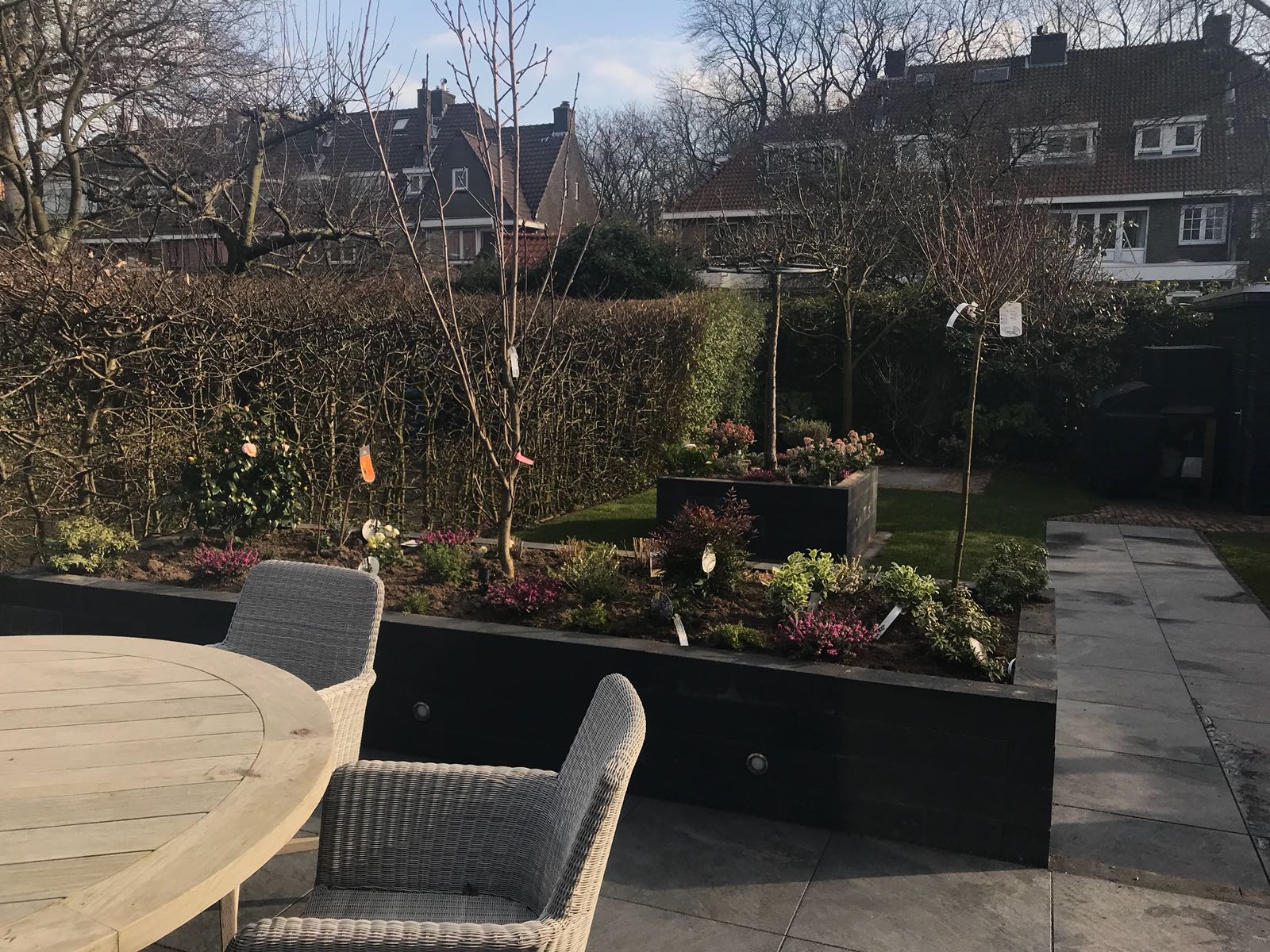 Tuin met verhoogde plantenbedden, berkenbomen en terrasmeubilair.