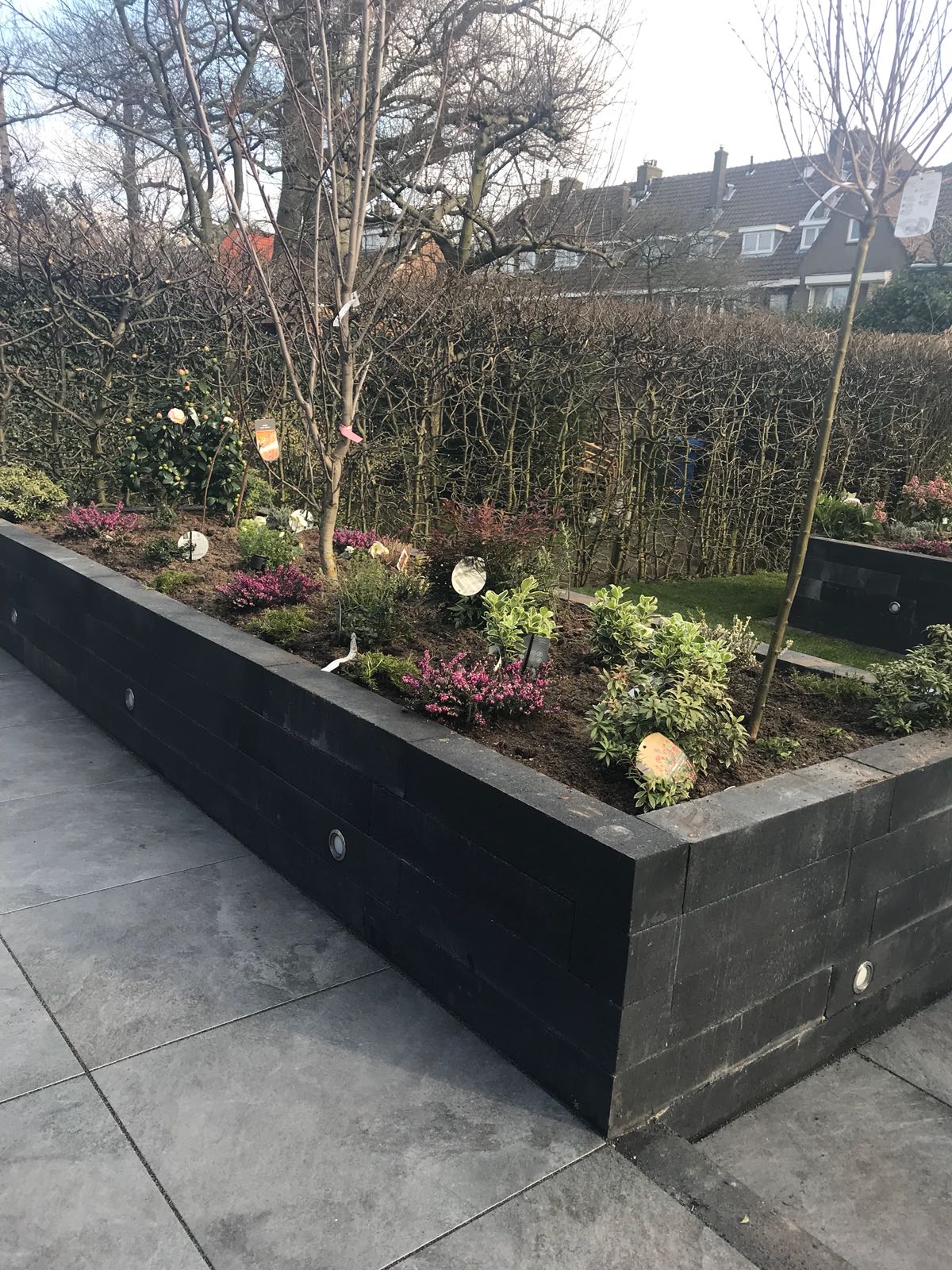 Zwarte houten verhoogde bloembedden met bloemen en struiken, met een grijs terras ervoor.