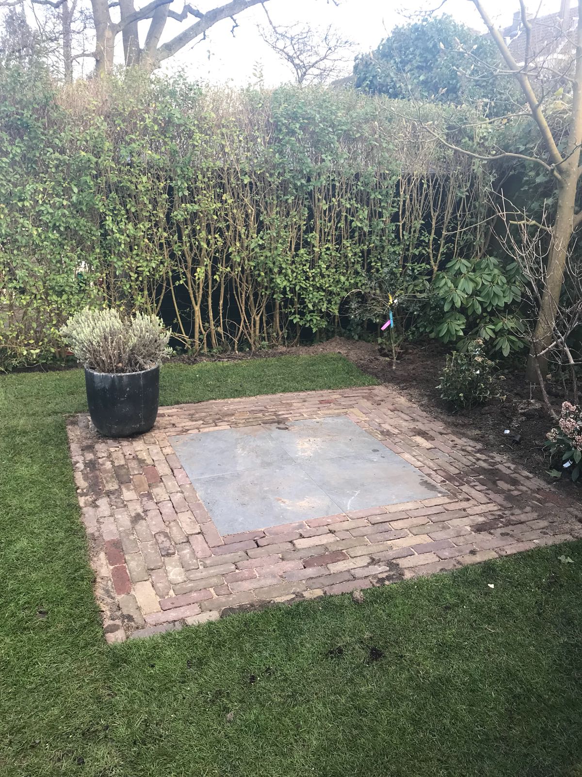 Vierkant bakstenen terras met grijze tegels in het midden, een potplant en groen gras in een tuin.