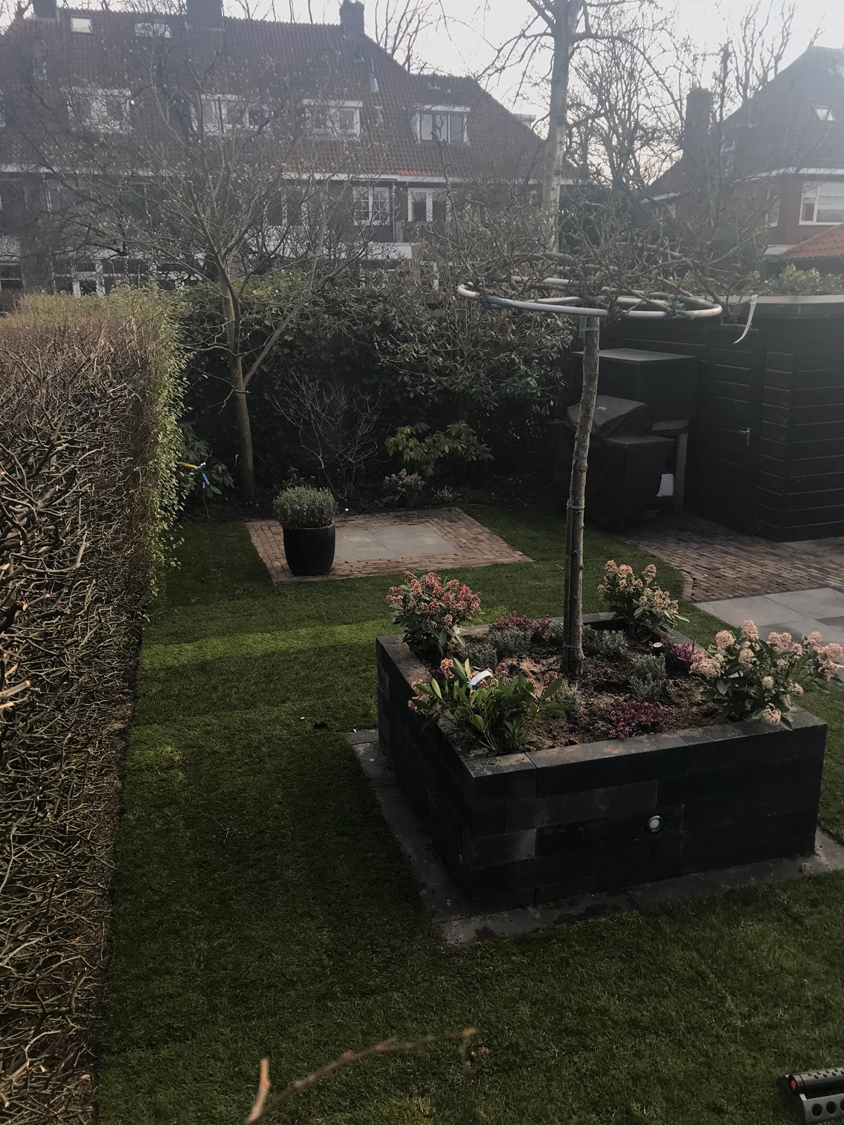 Achtertuin met gazon, bloembed en een boom tegen de huizen.