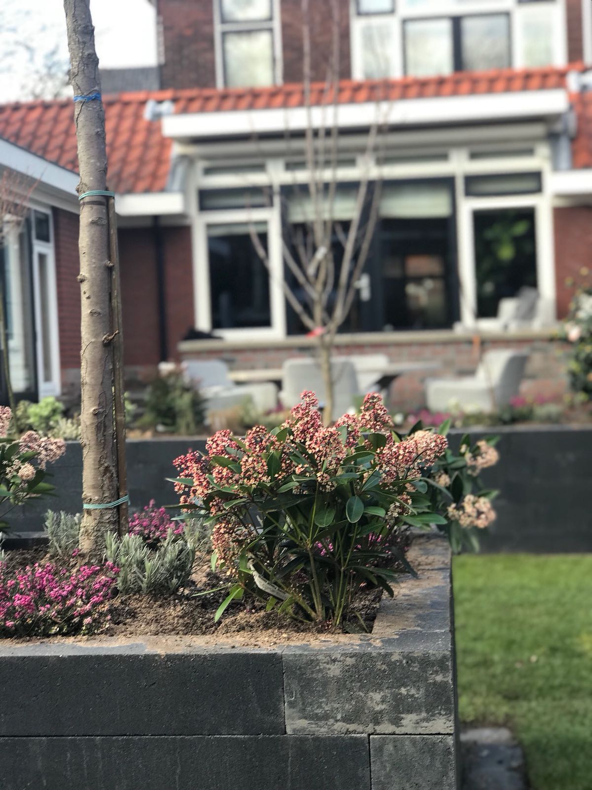 Bloembak met bloeiende struiken, een boom en een gebouw op de achtergrond. Zonnige dag.