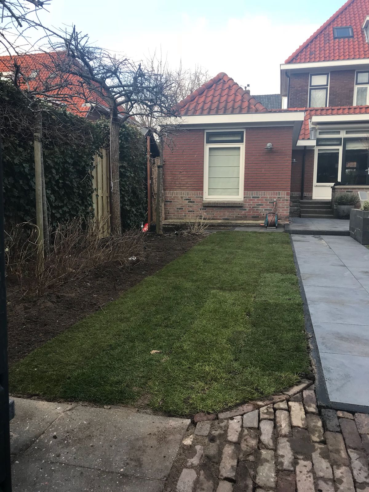 Een kleine achtertuin met vers gras, een schuurtje van rode baksteen en een stenen pad.