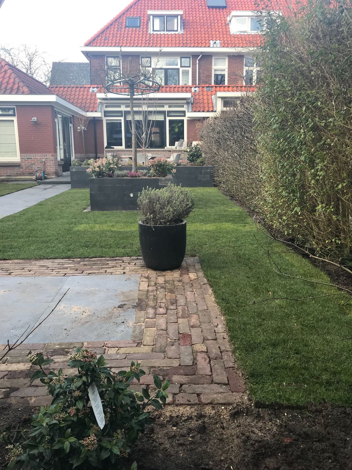 Een weelderig groen gazon met een bakstenen pad, struiken en moderne grijze plantenbakken voor een rood bakstenen gebouw.