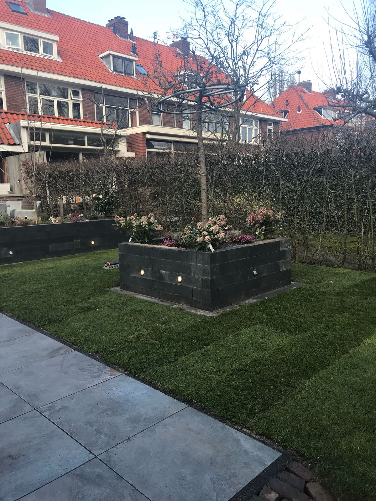 Een keurig onderhouden gazon met verhoogde bloembedden en een rij bakstenen huizen op de achtergrond.