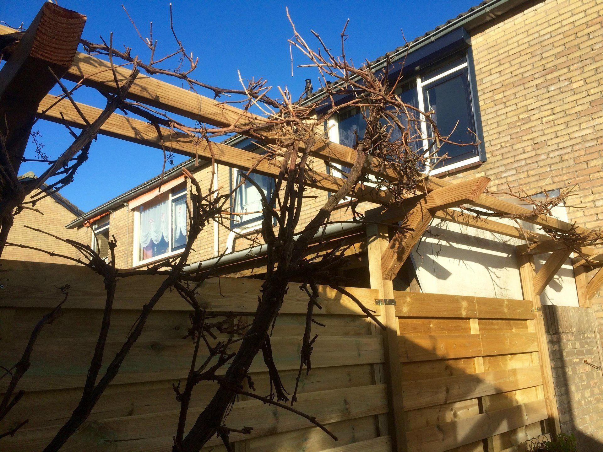 Een houten pergola met kale takken tegen een bakstenen gebouw en schutting op een zonnige dag.