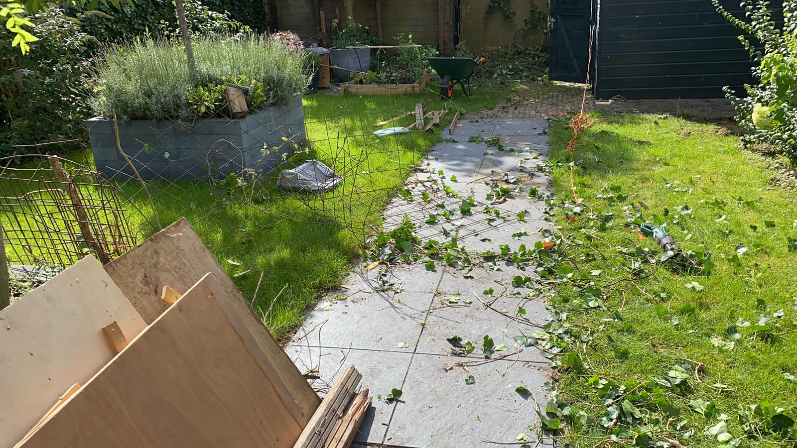Achtertuin met stenen pad, gemaaid gras en verspreid houtafval.