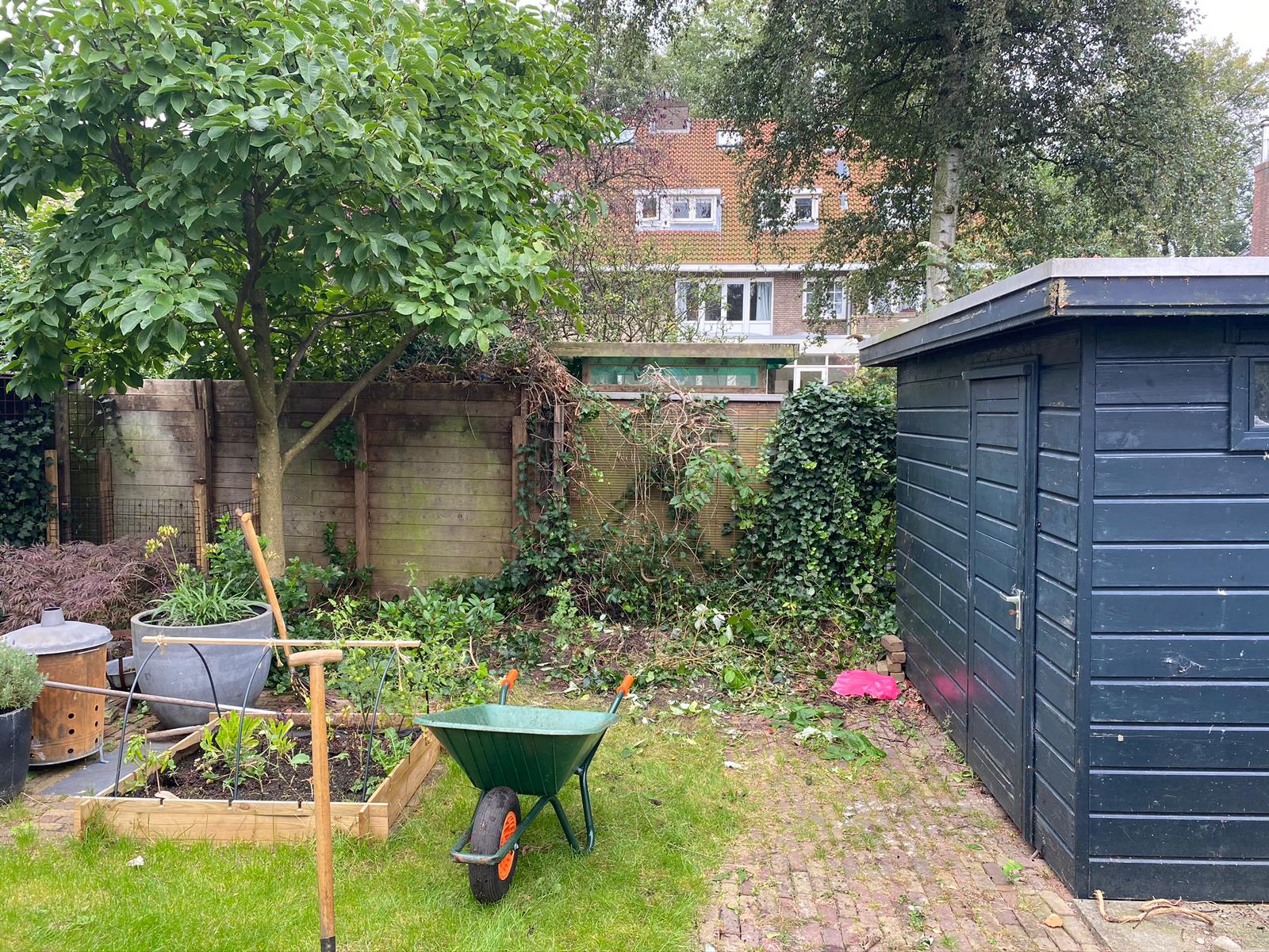 Een achtertuin met een boom, een tuin, een schuur, een kruiwagen en een houten schutting.