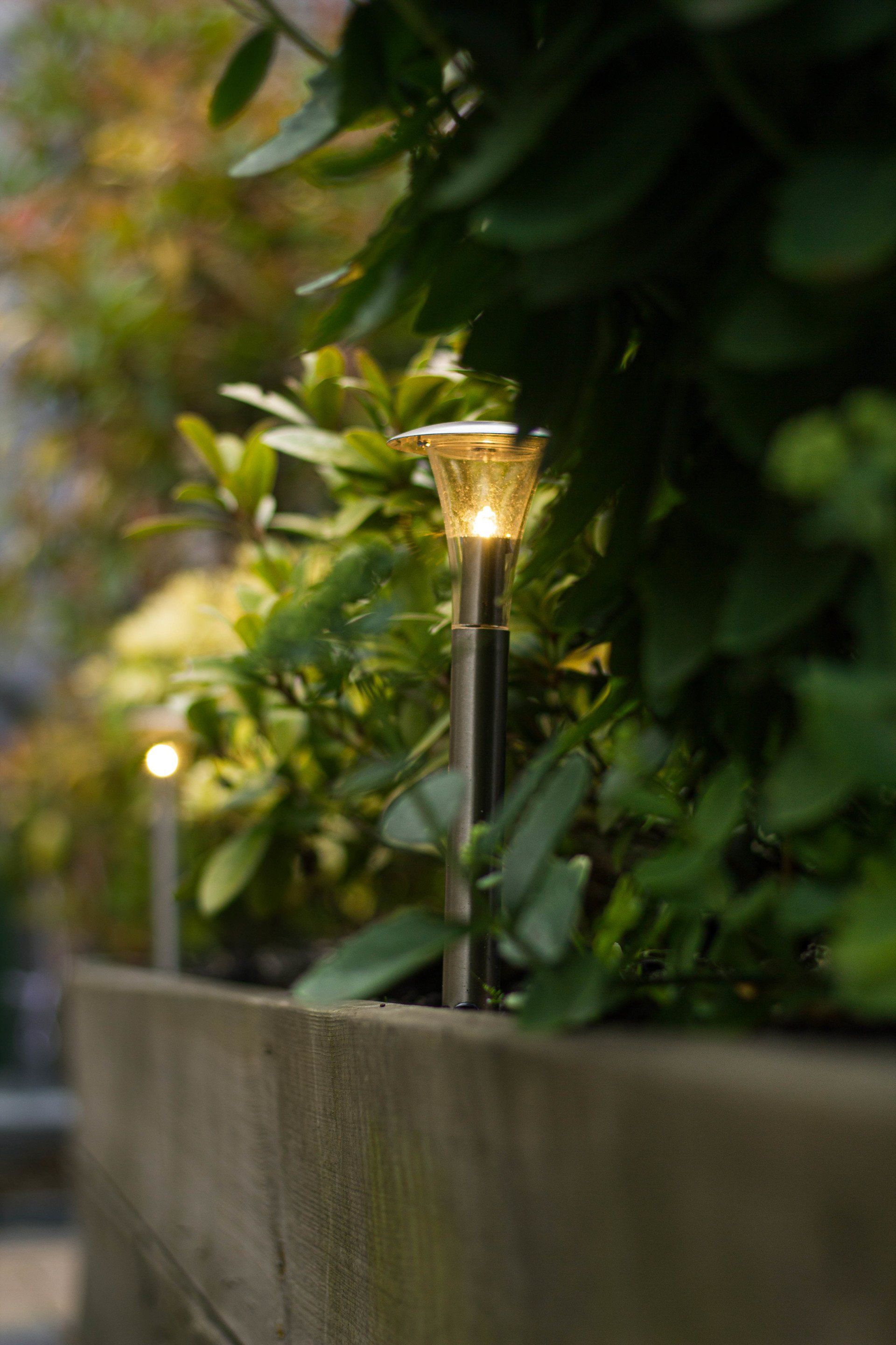 Tuinverlichting op zonne-energie aan een betonnen muur verlicht de groene struiken.