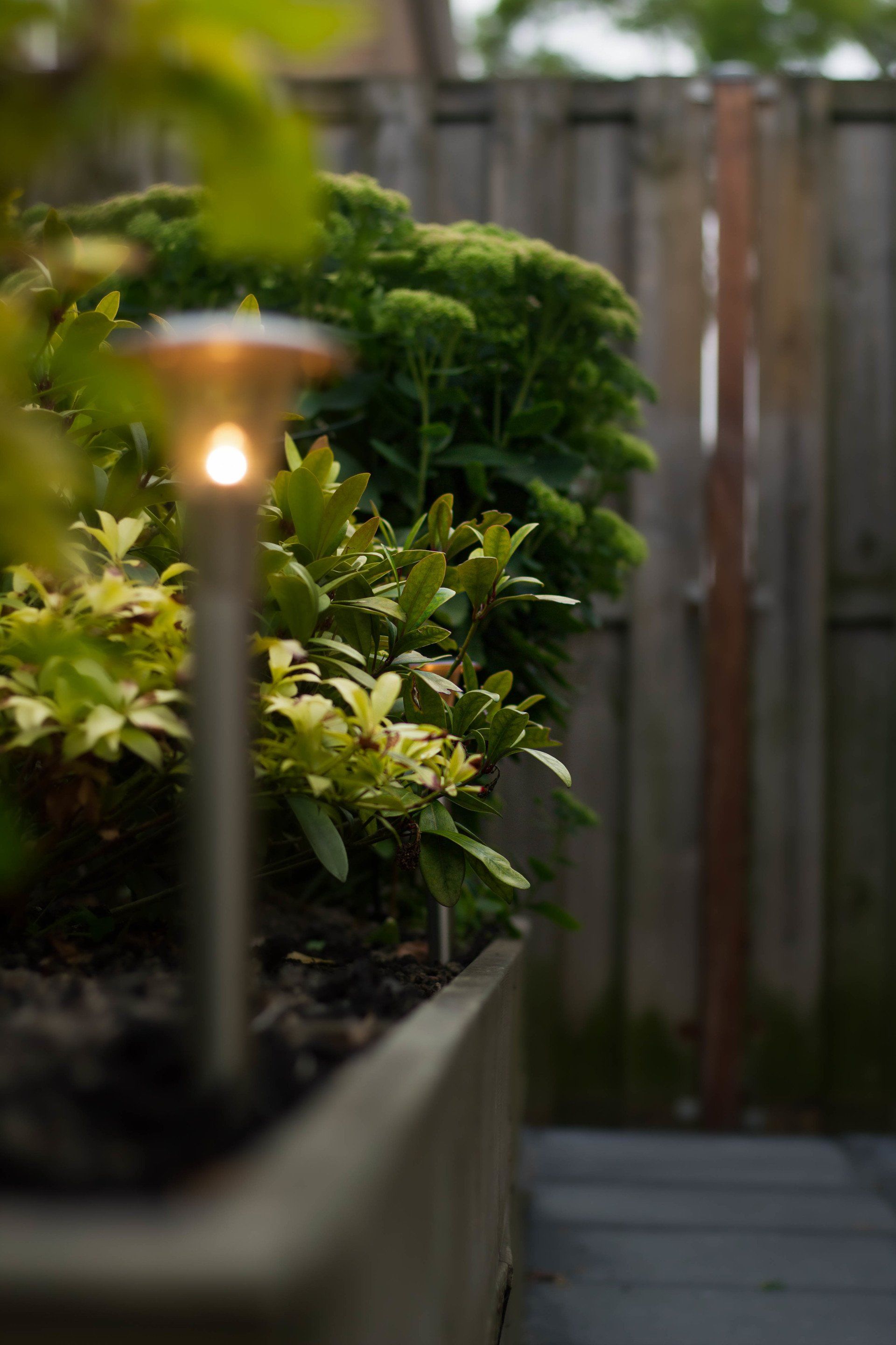 Tuinpadverlichting verlicht naast verhoogd plantenbed, houten schutting op de achtergrond.