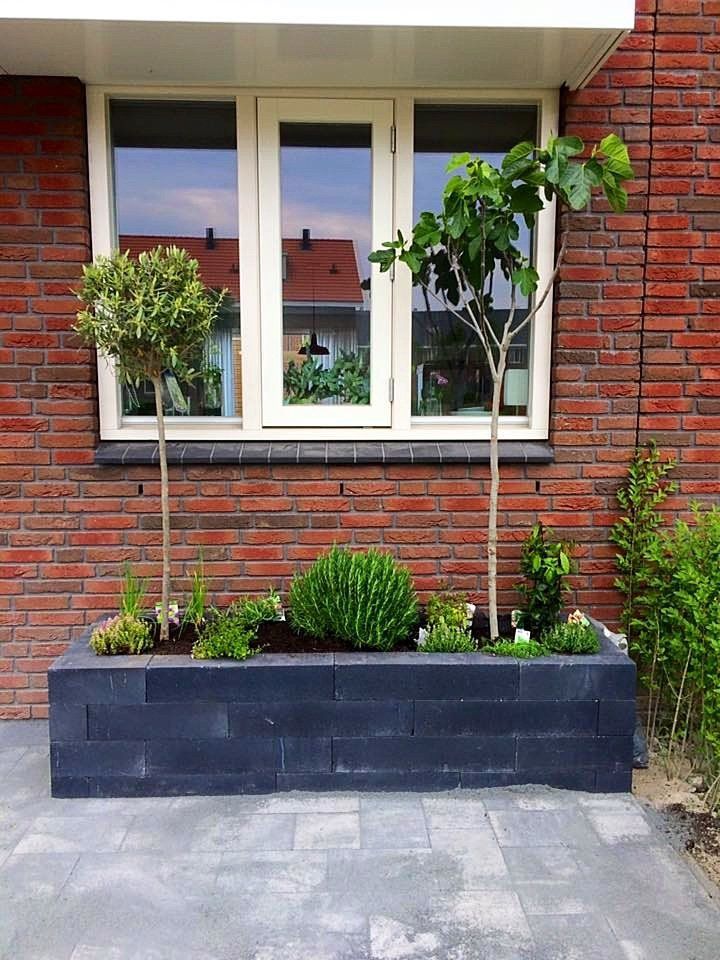 Een rechthoekige, donkergrijze plantenbak met diverse planten voor een raam van een bakstenen gebouw.