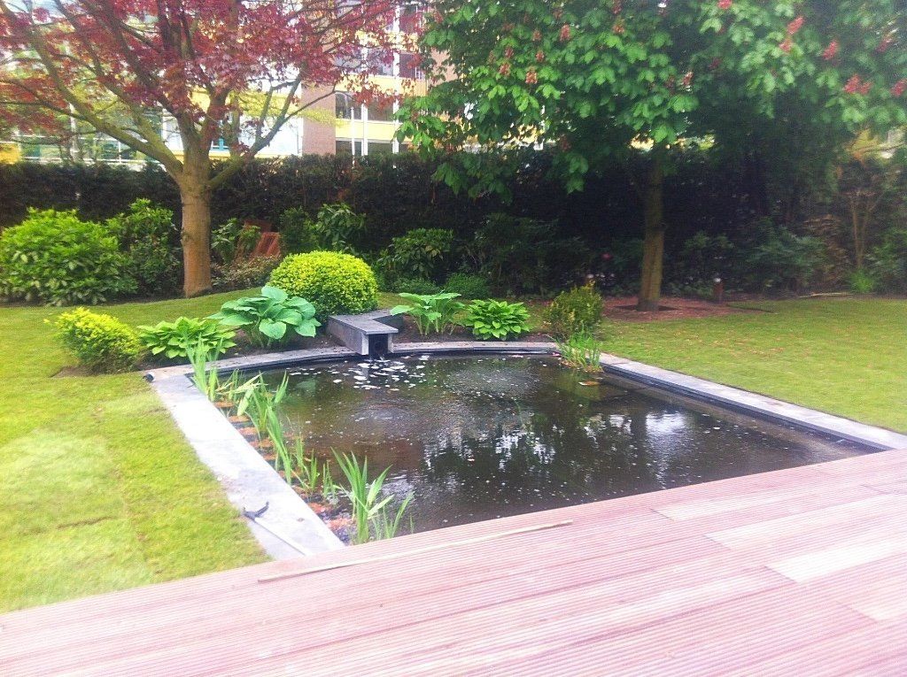 Een vijver in een tuin, omgeven door gras en planten, met bomen op de achtergrond.