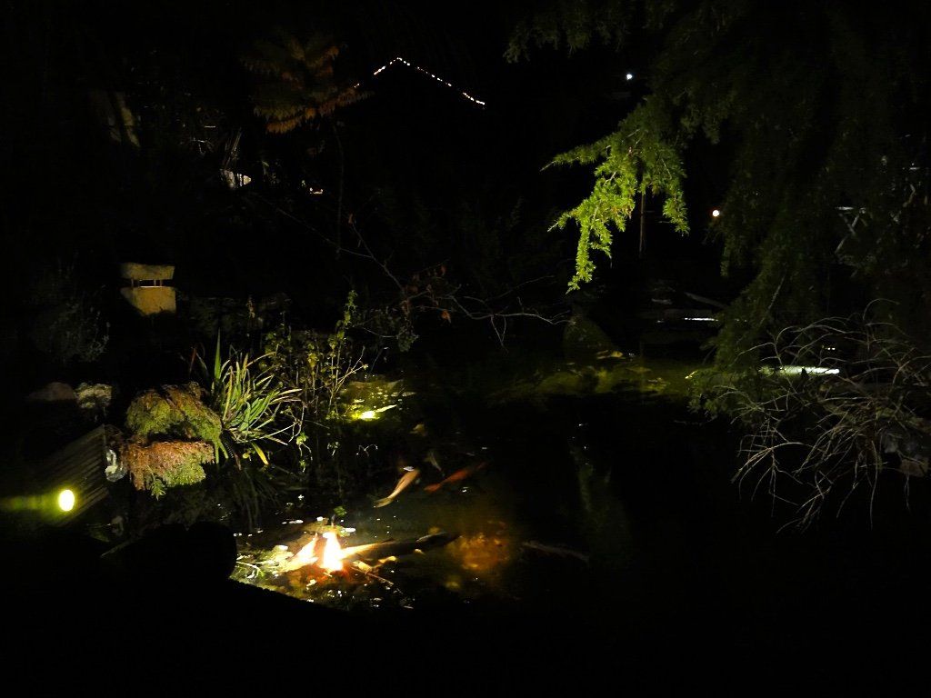 Nachtelijk uitzicht op een vijver met sfeerverlichting. Een vuur is zichtbaar, met donker gebladerte rondom het water.