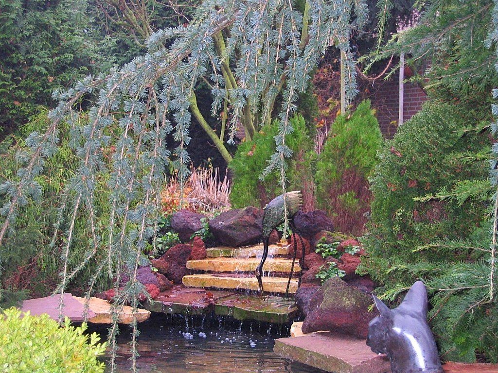 Een kleine, trapsgewijze waterval in een tuin, met hangende boomtakken en stenen accenten.