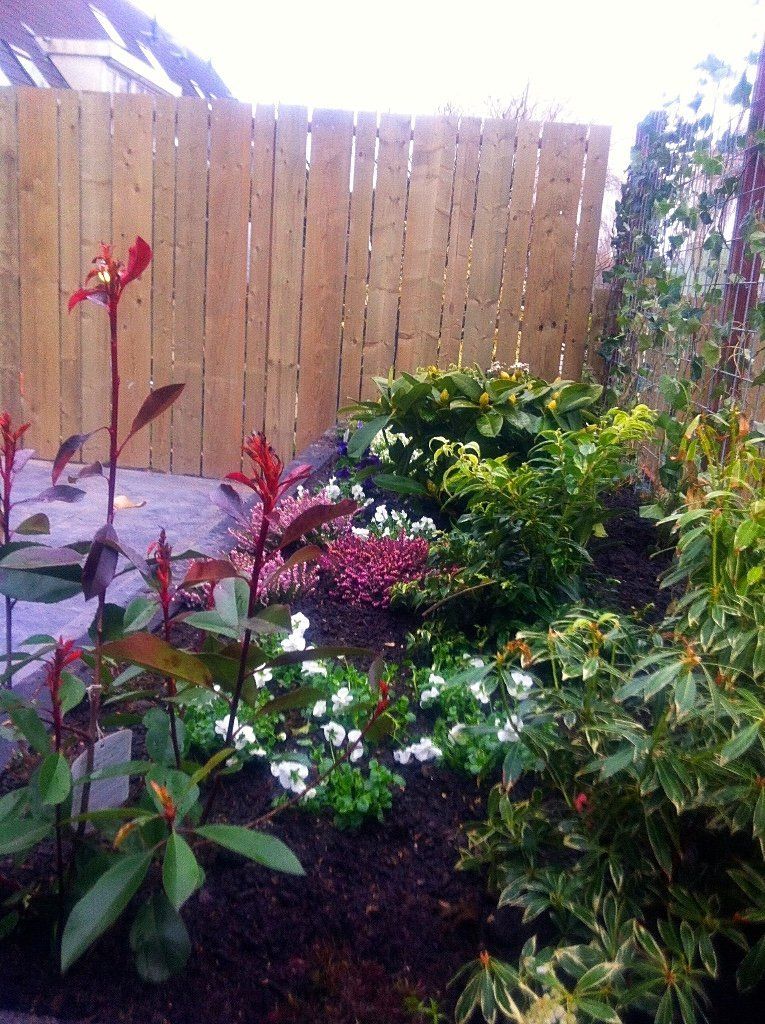 Een bloembed met diverse planten, bloemen en een houten schutting op de achtergrond.