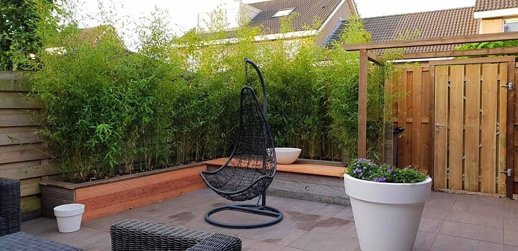 Terras met hangstoel, bamboehaag en houten schutting. Plantenbak rechts.