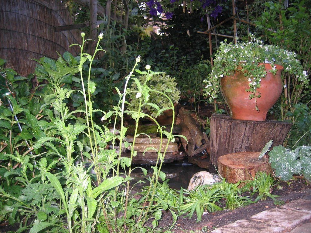 Tuinscène met een terracotta bloempot op een boomstronk, met planten en een kleine vijver.