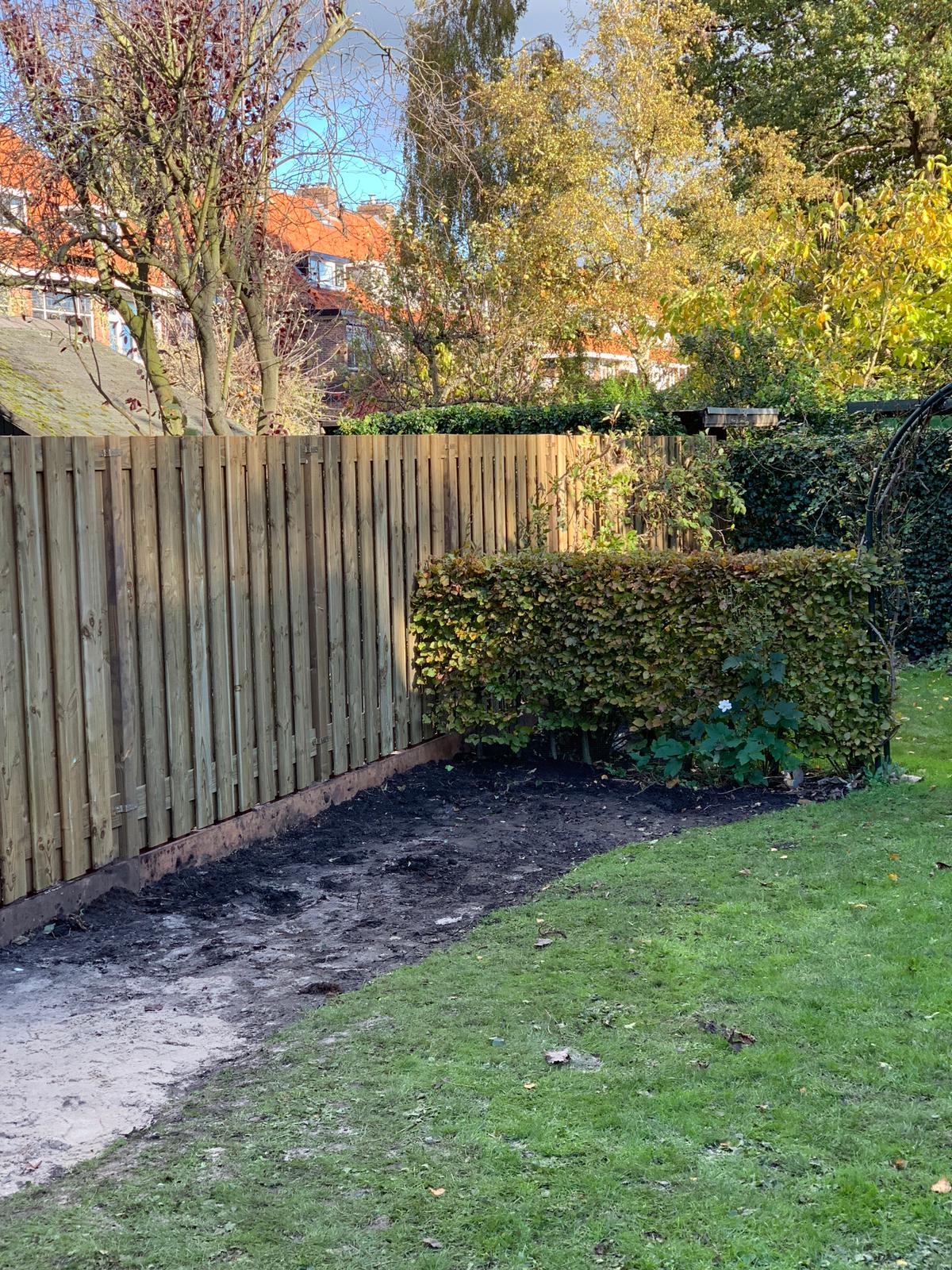Een houten schutting langs een gazon en een gesnoeide heg voor bomen en gebouwen.