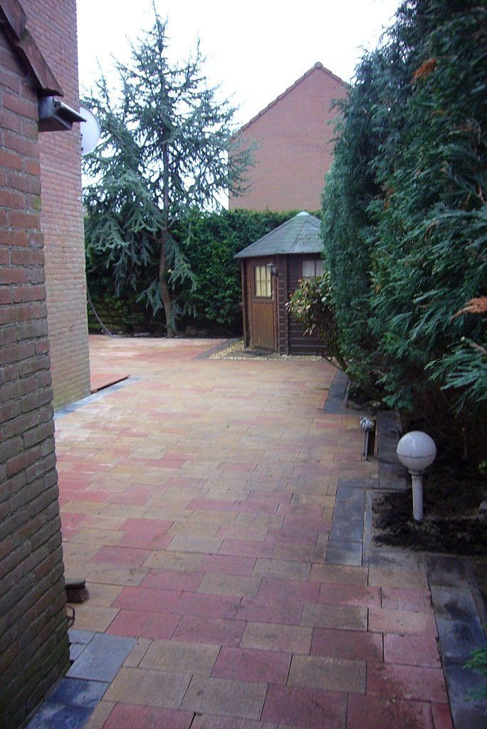 Een stenen terras met een houten schuur en groenblijvende bomen.