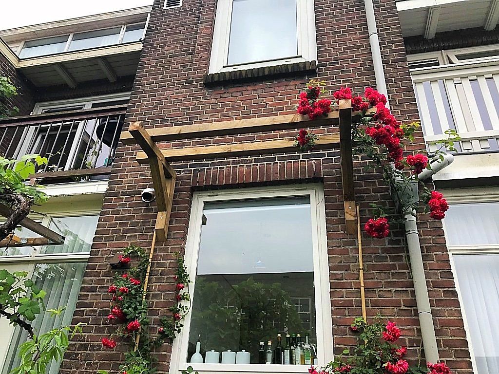 Een bakstenen gebouw met klimrozen rond een raam, ondersteund door een houten pergola.