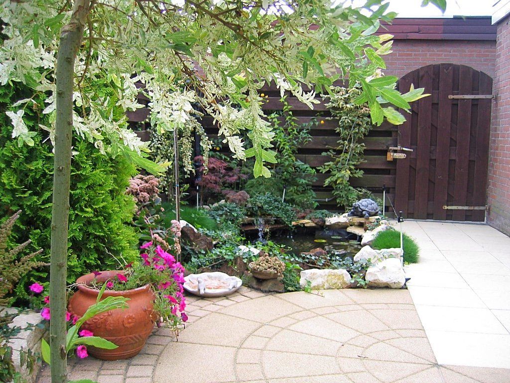 Een kleine, weelderige achtertuin met een vijver, diverse planten en een houten poort.