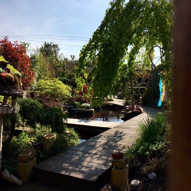 Een houten brug over een vijver in een weelderige tuin met diverse planten en een blauwe hemel.