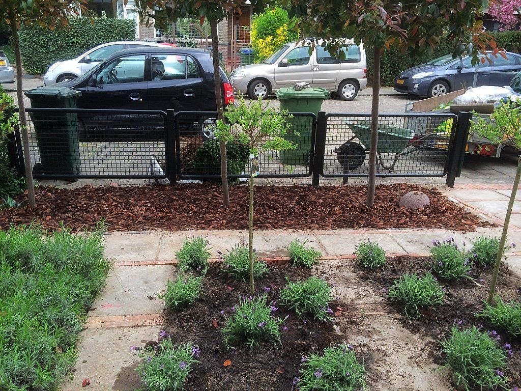 Straatbeeld: Aangelegde tuin met jonge planten, mulch en een zwart hek. Op de achtergrond staan ​​auto's geparkeerd.