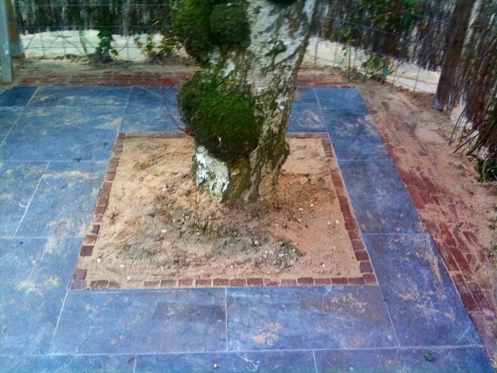 Boomstam in een zanderig vierkant op een terras van blauwe natuursteen; omranding door bakstenen.