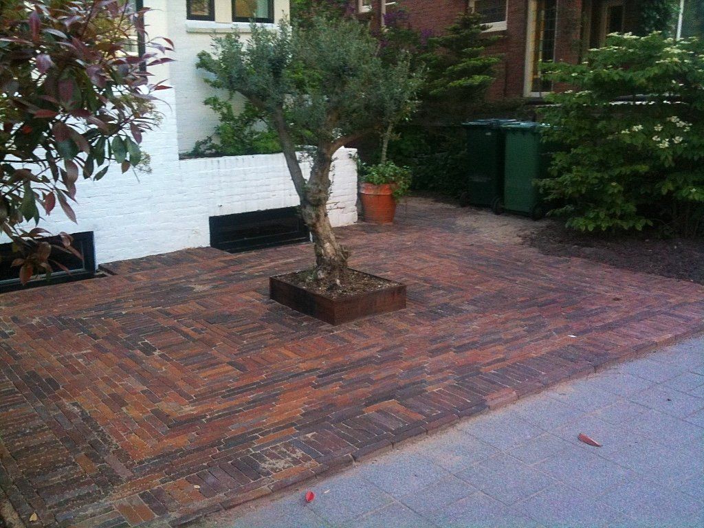 Bakstenen terras met olijfboom in een vierkante plantenbak, vlakbij een witte muur en een groene afvalbak.