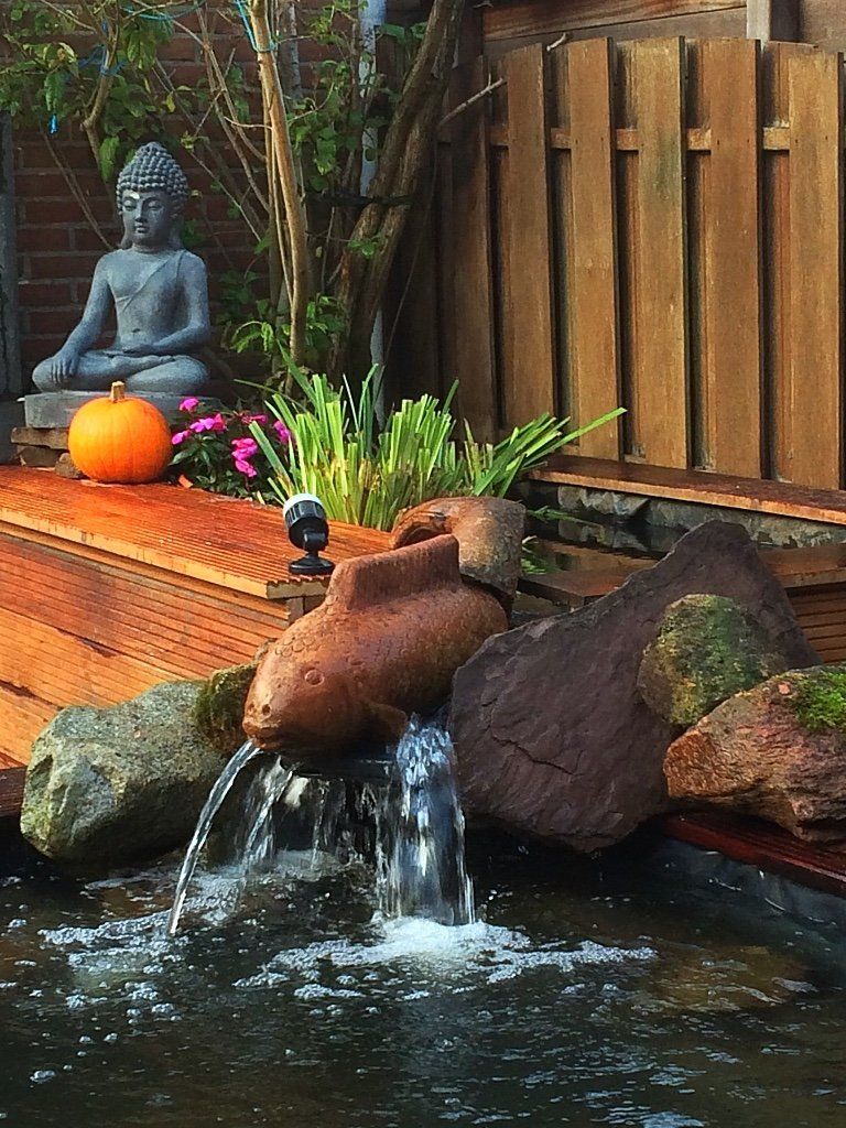 Een Boeddhabeeld en een pompoen naast een kleine waterpartij met een houten terras en een schutting.