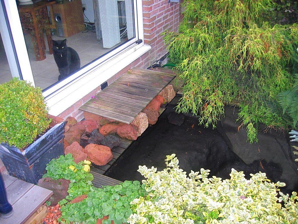 Een kleine vijver met een metalen bruggetje, omgeven door planten en rode rotsen. Een zwarte kat is zichtbaar door het raam.