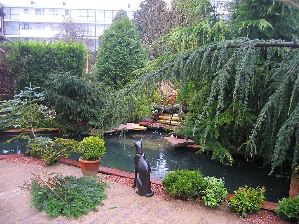 Een tuin met een vijver en diverse groenblijvende bomen; een beeld van een zwarte kat staat vlakbij het water.