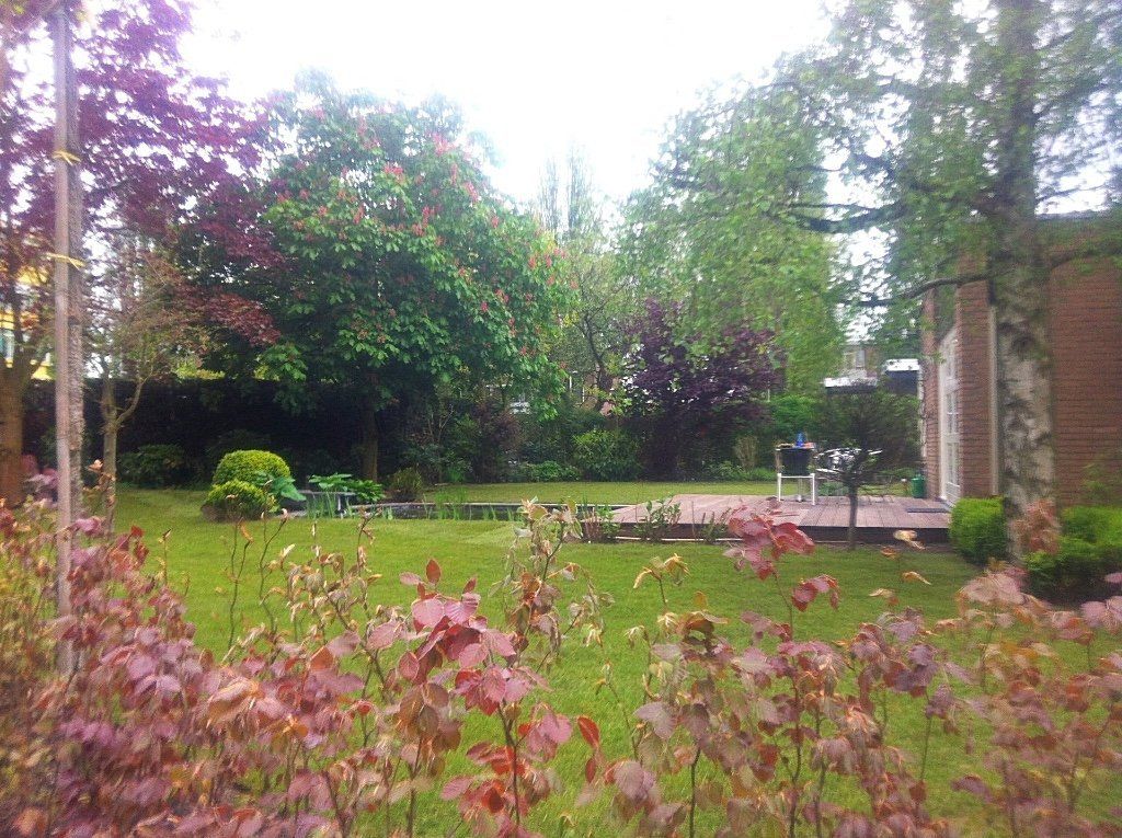Een weelderige groene achtertuin met bomen en struiken, een kleine vijver en een terras met stoelen onder een bewolkte hemel.