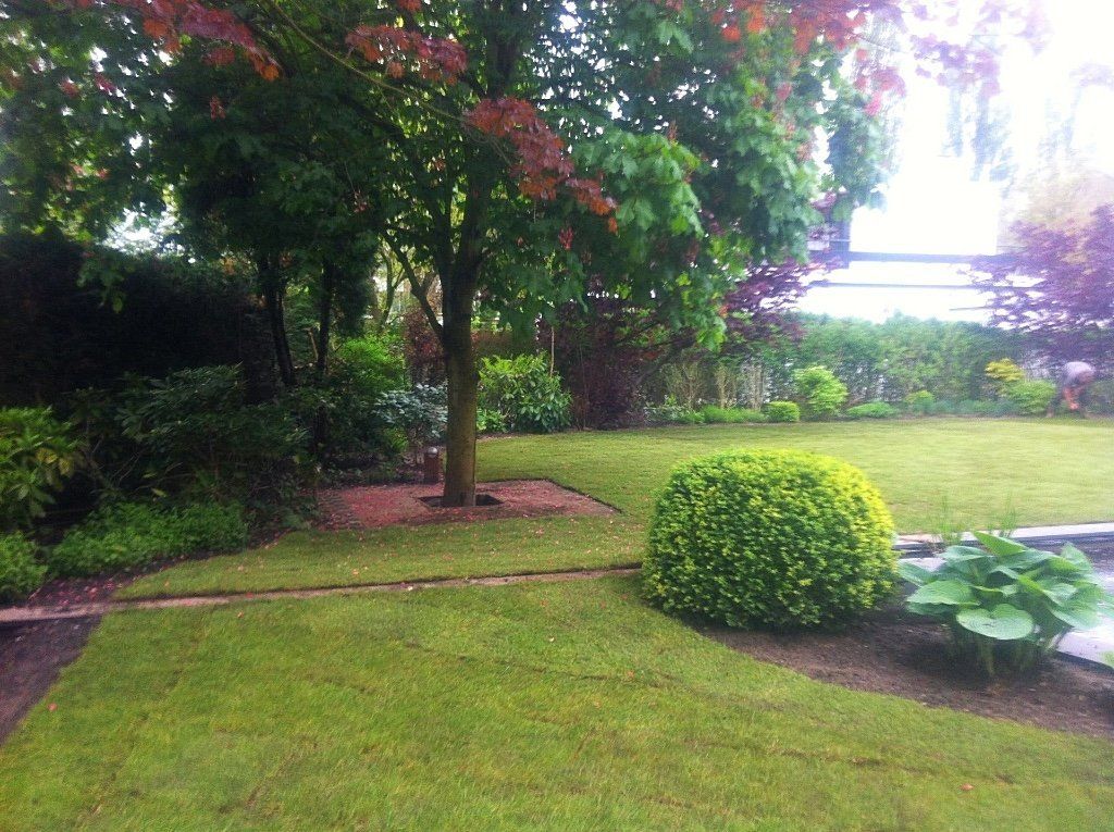 Een weelderige groene tuin met een boom en keurig gesnoeide hagen, op een zonnige dag.