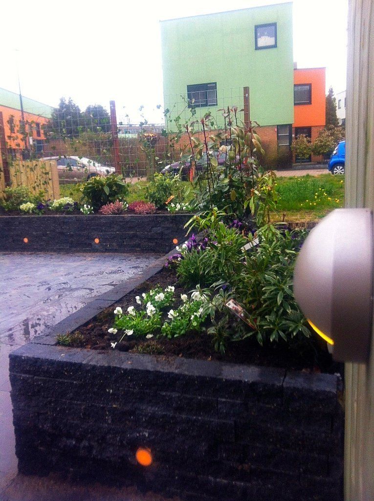 Verhoogd bloembed met bloemen en kleurrijke gebouwen op de achtergrond.