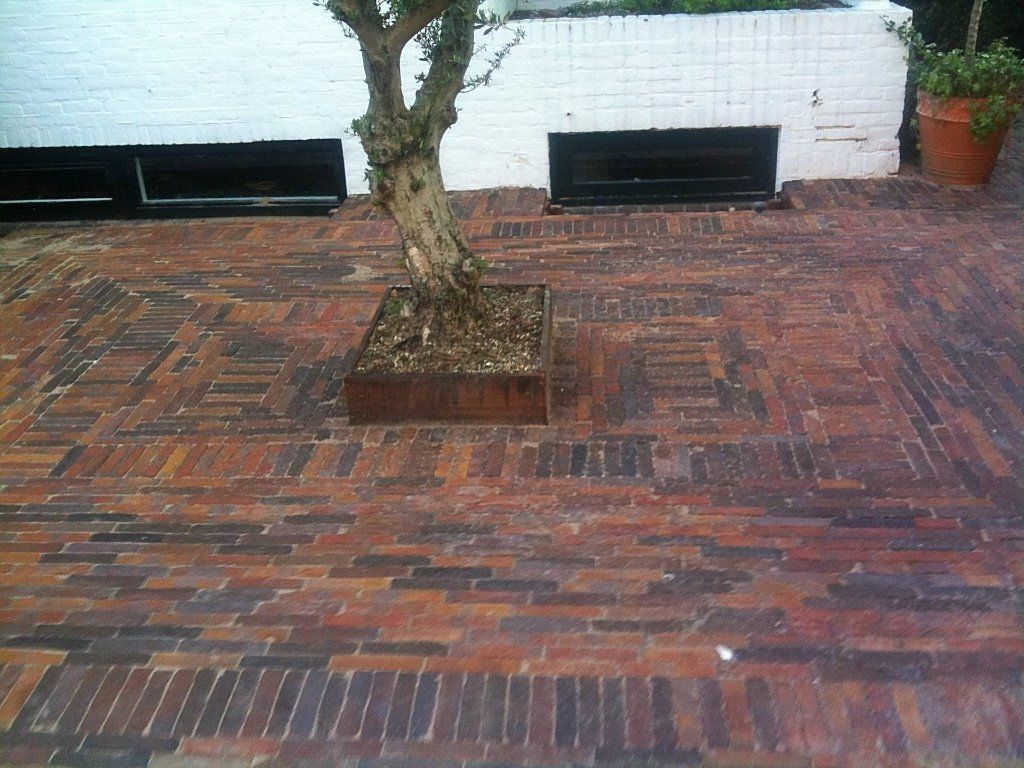 Bakstenen terras met boom in plantenbak, tegen een witte bakstenen muur met zwarte raamputten.