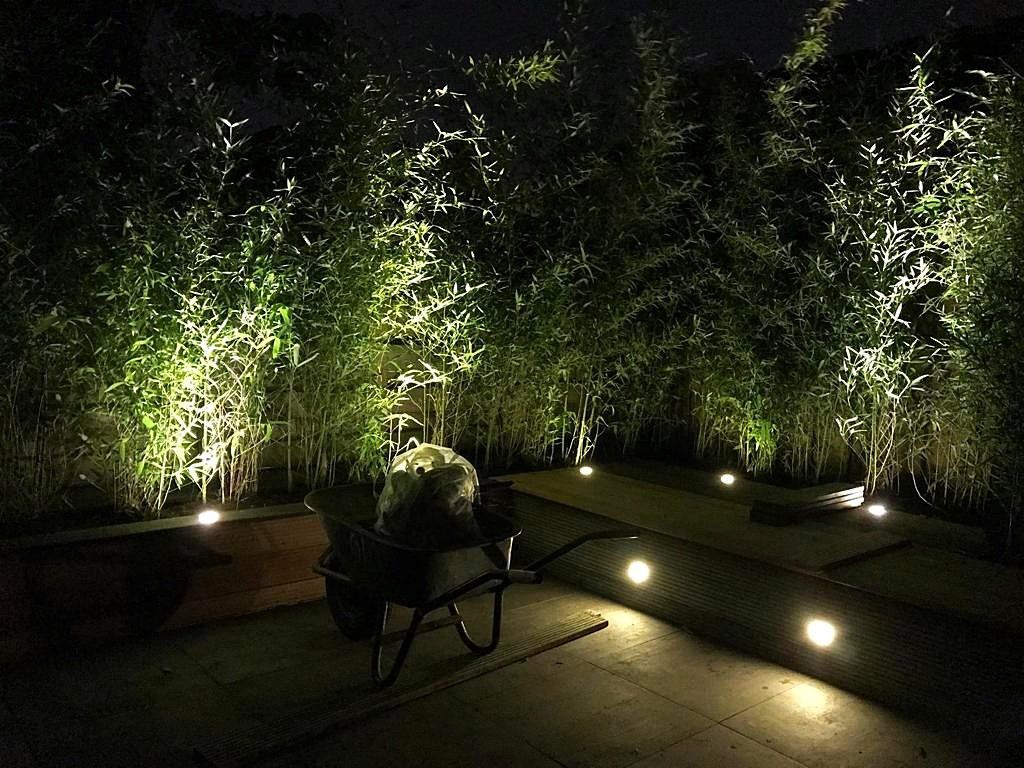 Buitentuin 's nachts met verlichte bamboe, padverlichting en een kruiwagen.