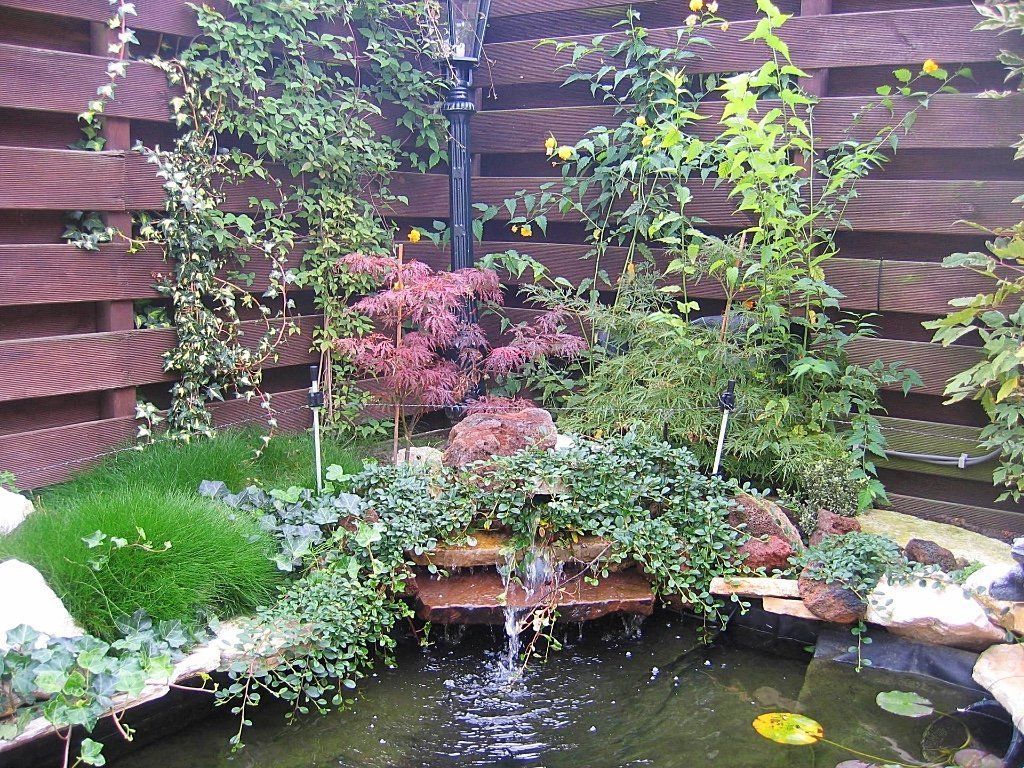 Een kleine tuinvijver met een waterval, omgeven door planten en een houten schutting.
