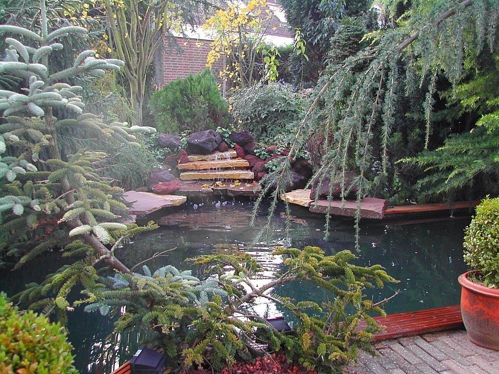 Een weelderige tuin met een vijver en een kleine waterval, omgeven door diverse groene planten en bomen.